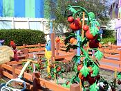 DSC07967.JPG