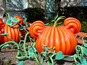 DSC07968.JPG