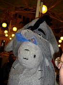 DSC08073.JPG
