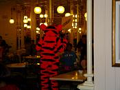 DSC08077.JPG