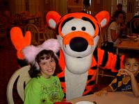 DSC08563.JPG