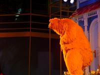 DSC08600.JPG