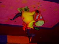 DSC08616.JPG
