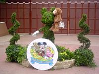 DSC08619.JPG