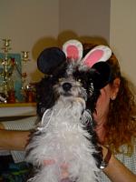 DSC08639.JPG