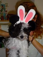 DSC08640.JPG