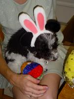 DSC08643.JPG