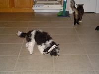 DSC08648.JPG