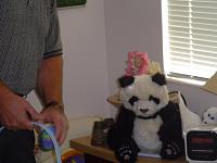DSC08657.JPG