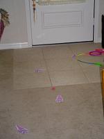 DSC08659.JPG