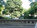 MVC519S.JPG