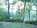 MVC529S.JPG