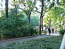 MVC530S.JPG