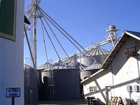 DSC08449.JPG