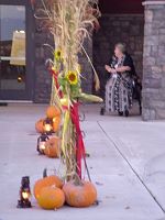 DSC08478.JPG