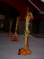 DSC08479.JPG