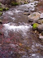 DSC08754.JPG