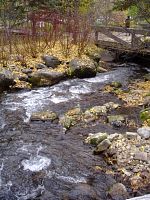 DSC08755.JPG