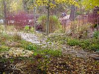 DSC08756.JPG