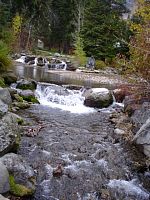 DSC08759.JPG