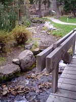 DSC08761.JPG