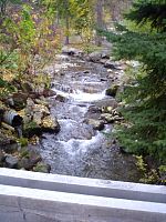 DSC08763.JPG