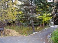 DSC08770.JPG