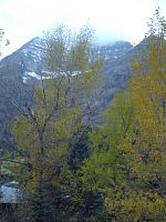 DSC08772.JPG