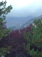DSC08788.JPG