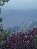 DSC08789.JPG