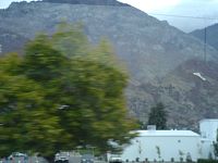 DSC08791.JPG