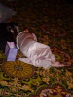 DSC08903.JPG