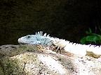 G2K0137S.JPG
