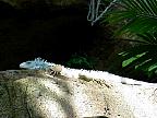 G2K0138S.JPG