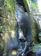 G2K0139S.JPG