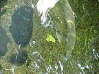 G2K0157S.JPG