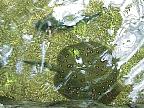 G2K0164S.JPG