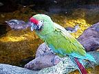 G2K0179S.JPG