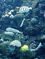 G2K0204S.JPG