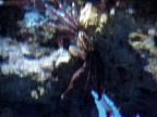 G2K0225S.JPG
