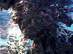 G2K0226S.JPG