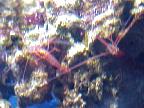 G2K0227S.JPG