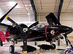 G2K0254S.JPG
