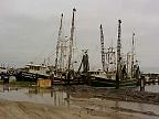 G2K0418S.JPG