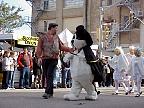 G2K0547S.JPG