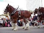 G2K0568S.JPG