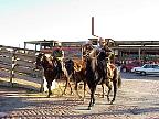 G2K0675S.JPG