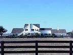 g2k0804S.JPG