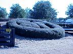 g2k0824S.JPG