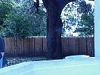 g2k0840S.JPG
